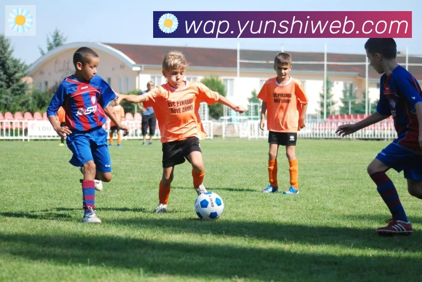 开云kaiyun网页版发展历程