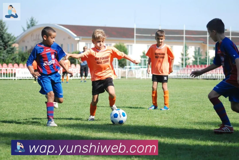 开云kaiyun网页版品牌故事