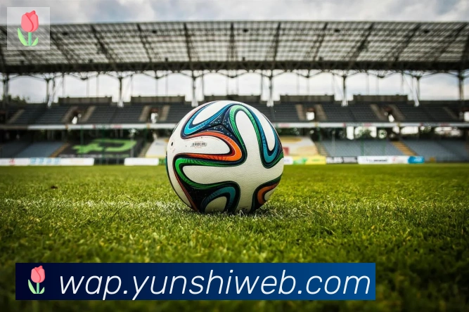 开云kaiyun网页版APP 封面图