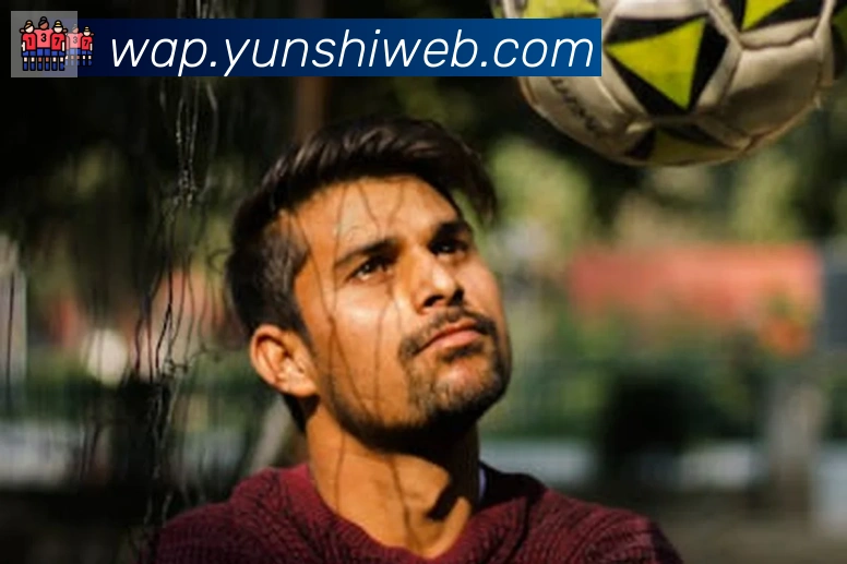 开云kaiyun网页版荣誉