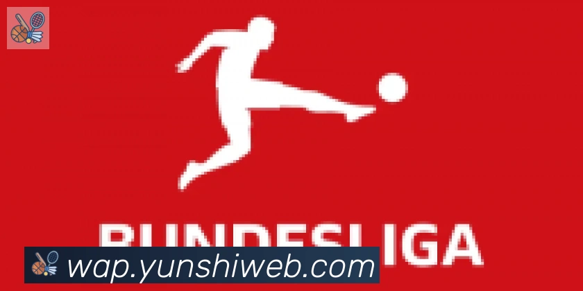 开云kaiyun网页版合作伙伴